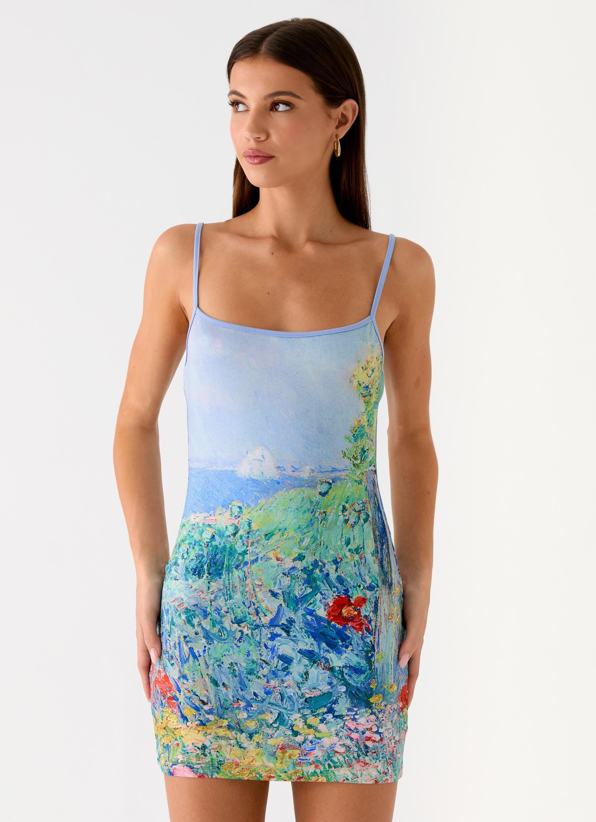 Garden Story Mini Dress - Spring Garden